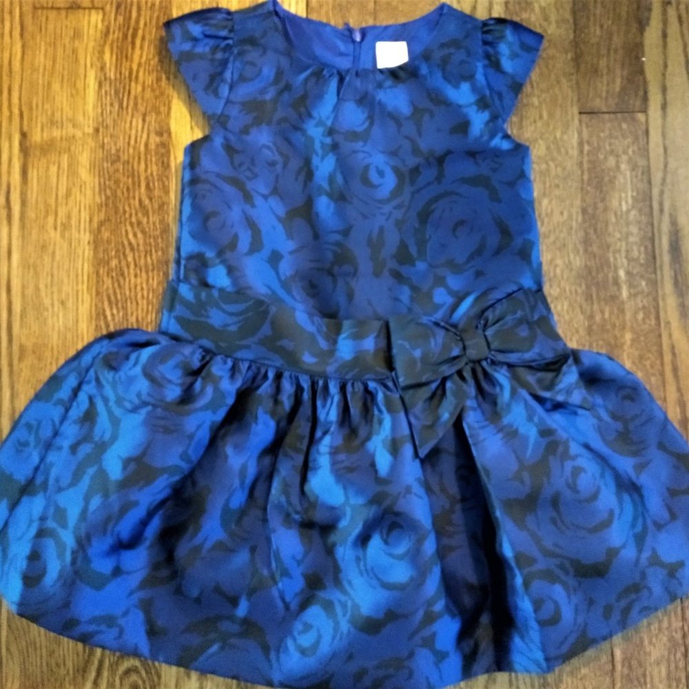 Gymboree Best in Blue floral organza dress 2T
